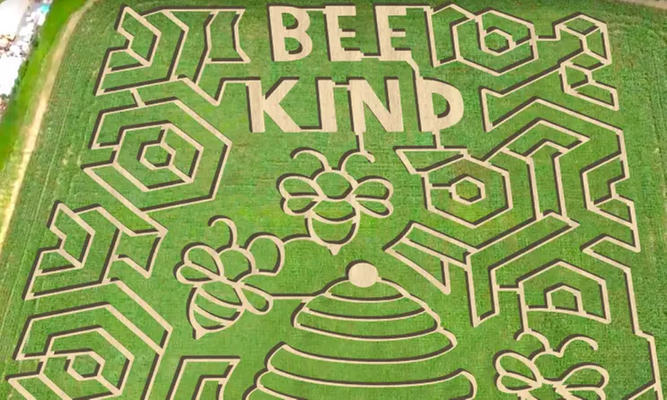 BEE KIND Corn Maze Adventure at Twins BBQ Co
