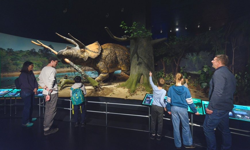 Image 7: American Museum of Natural History - Admission & Special Exhibitions