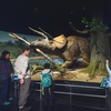 Image 7: American Museum of Natural History - Admission & Special Exhibitions