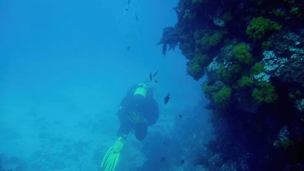 Bautismo de buceo con reportaje fotográfico para 1 o 2 personas