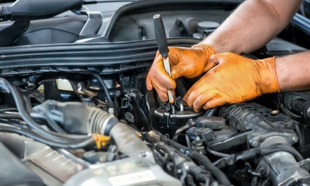 Car Mechanic - Compete High