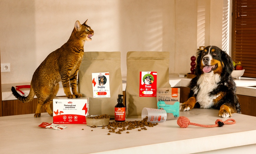 Image 2: 40 % Rabatt auf personalisiertes Tierfutter