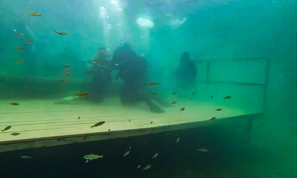 Nauka nurkowania pod okiem profesjonalistów: Intro lub kurs OWD