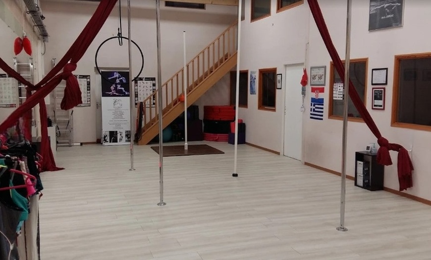 Image 2: Cours de pôle dance chez Spin & Fly Pole Dance Nancy