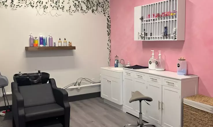 Cut, Shampoo, Conditioning with Partial Highlight or Lowlight & More