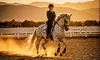 Horseback Riding Adventure in the Great Outdoors at Mon Coeur Cheval Stables, Get 25% Off