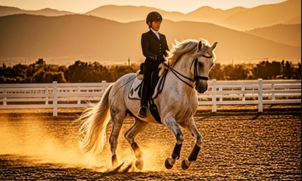 One Horseback Riding Lesson for One Person - Mon Coeur Cheval Stables