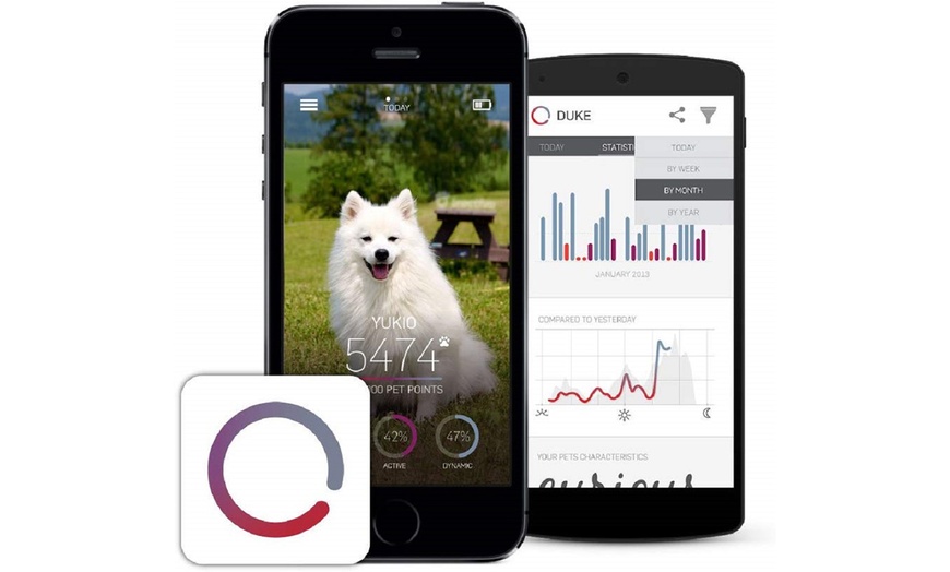 Image 3: Pet Activity Tracker