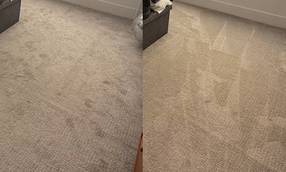 3 or 5 Hours of Standard Home Cleaning, Optional Carpet Cleaning