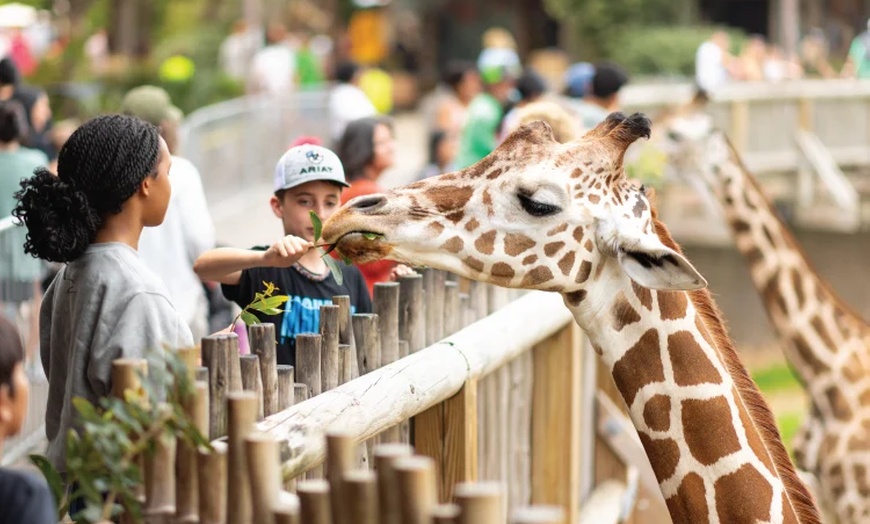 Image 6: GetOut Texas DFW Deals & Discounts - 50% Off Year-Round Access