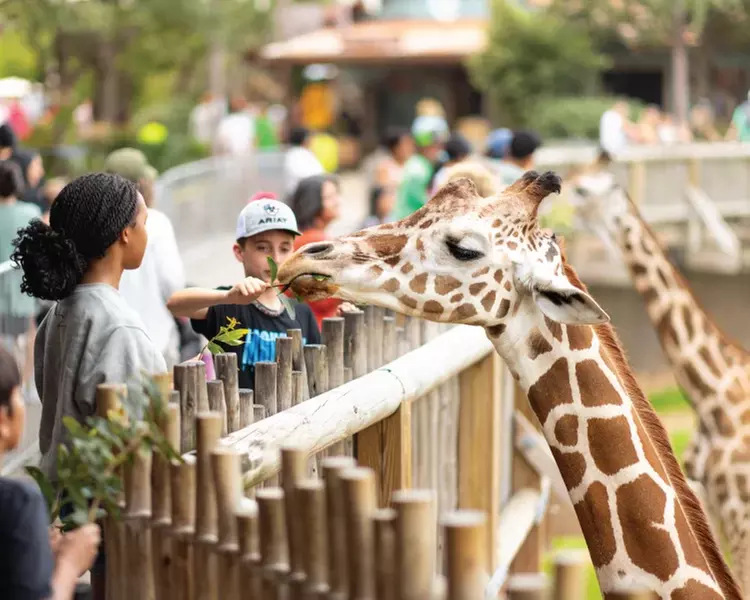 GetOut Texas DFW Deals & Discounts - 50% Off Year-Round Access