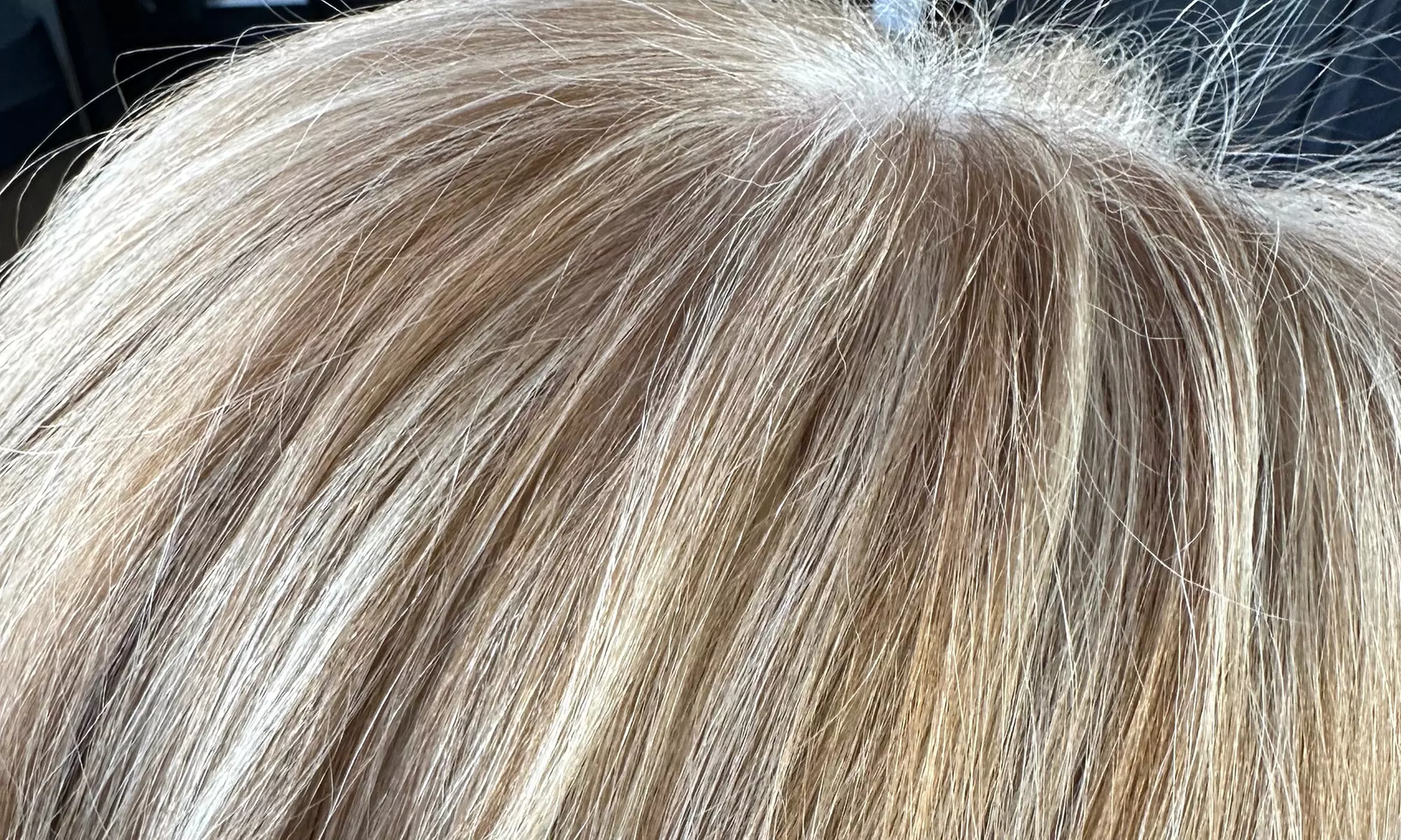 Enhance Your Look with Traditional Partial Highlights with Optional Gloss  Up to 13% Off at More Than Hair - Second Medium