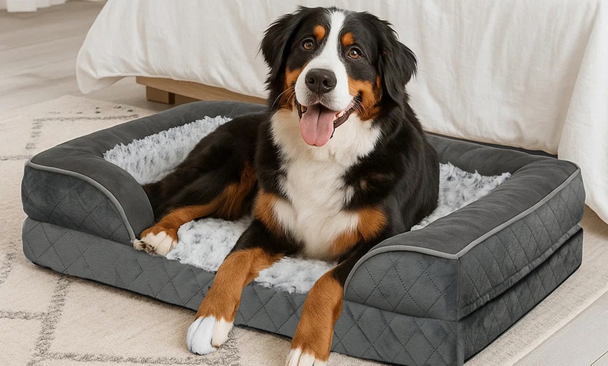 Image 2: Pawz Skylos Orthopaedic Dog Bed with Bolster Support