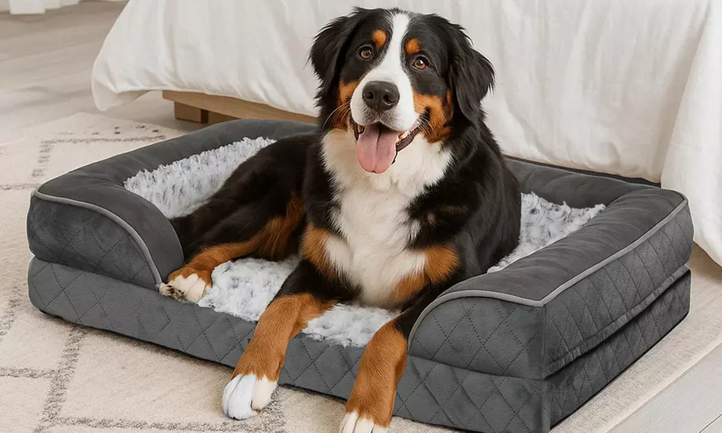 Pawz Skylos Orthopaedic Dog Bed with Bolster Support