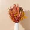 Image 6: Next Day Farm-Fresh Flowers from The Bouqs Company (Up to 55% Off)