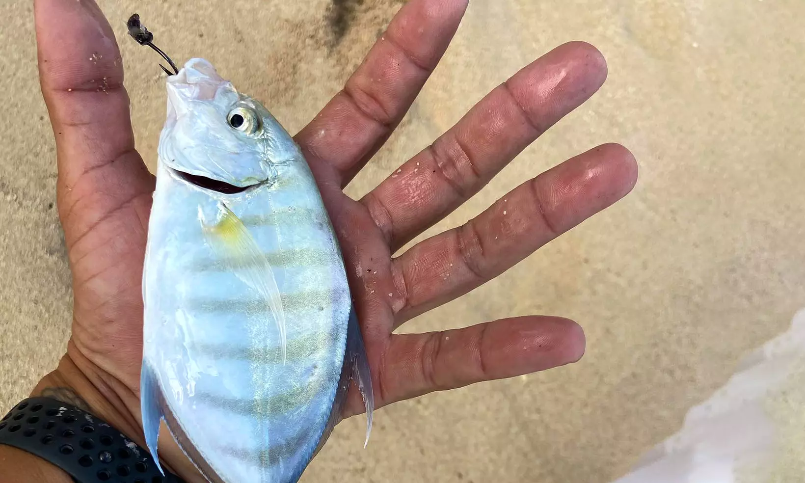 Group or Private Fishing Tour for Two or Four People