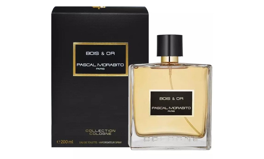 Image 4: Pascal Morabito herengeur