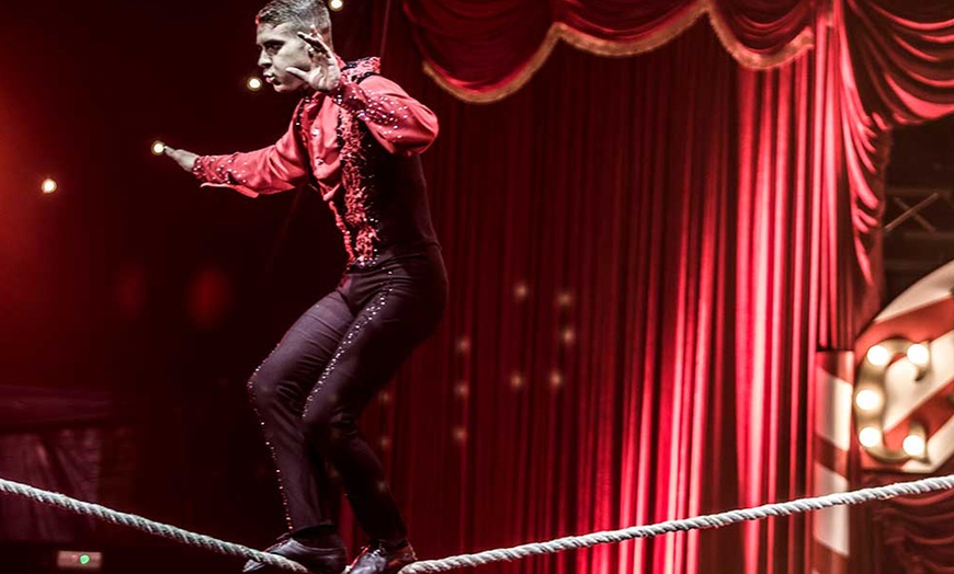 Image 1: Entrada oro o plata para niño o adulto al espectáculo "Viva el circo"