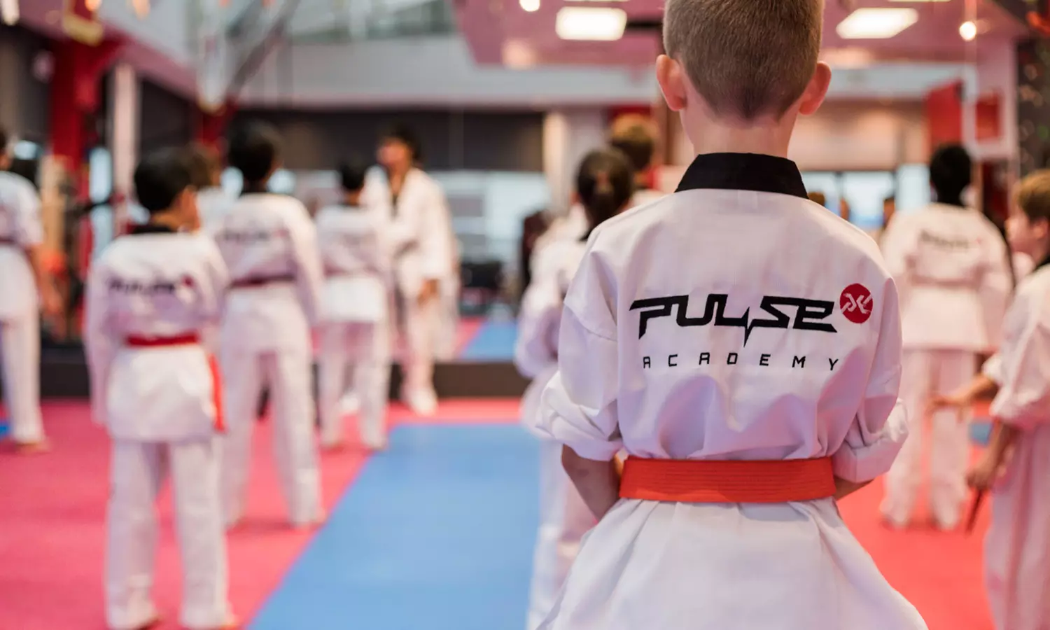 Two Weeks or One Month of Classes with Extras at Pulse Taekwondo Academy (Up to 68% Off)  - Primary Image