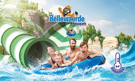 Billet adulte ou enfant (dès 1 m) du 1er novembre 2025 au 4 janvier 2026 inclus - Aquapark