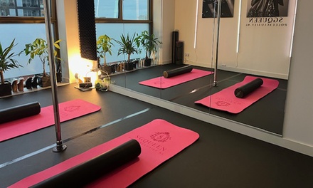 Voor 1 persoon: 1x privé paaldansles van 60 minuten - PoleExclusief.nl by SGQueen