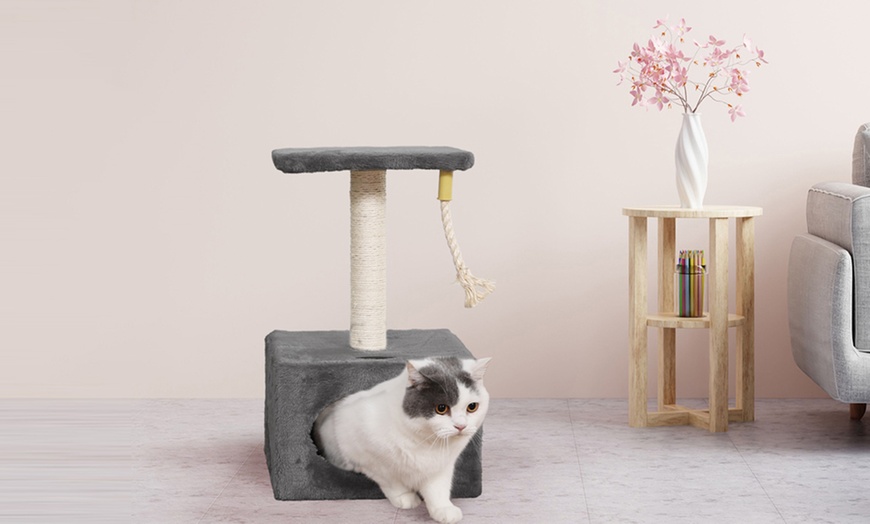 Image 35: Griffoir pour chat