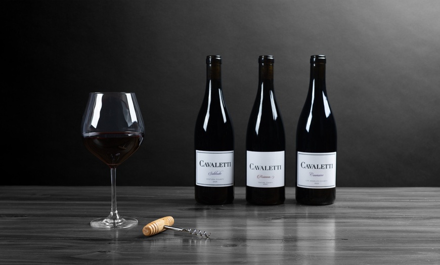 Image 2: Premium Wine Tasting Experience for Two, Four or Six
