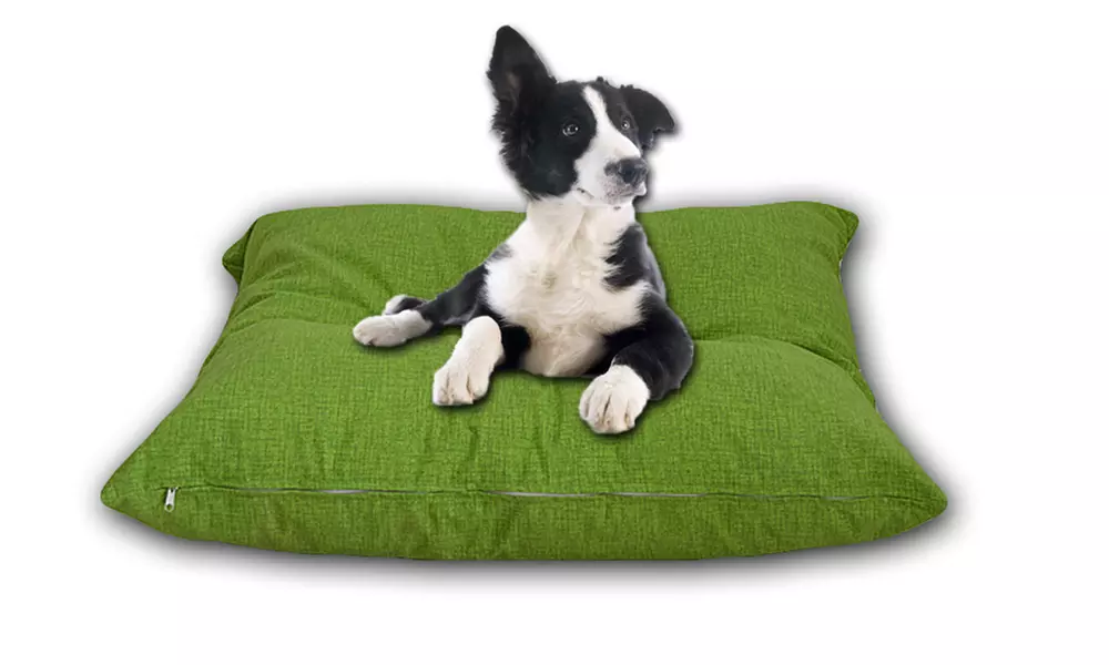 Cuscino sfoderabile per animali domestici Fido