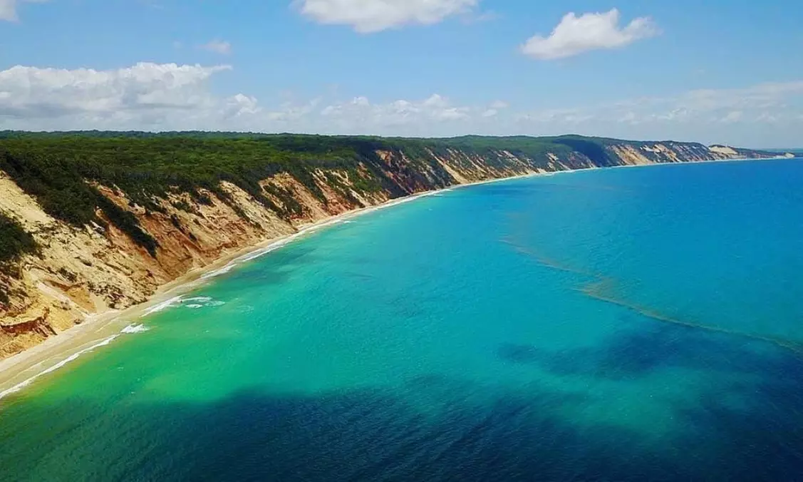 Dolphin-View Kayak Tour or Private Day Tour to Double Island Point