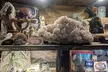 Uncover Crystal Secrets with $25, $35, or $45 Geode & Geode Cracking Activity (Up To 44% Off) - Second Medium