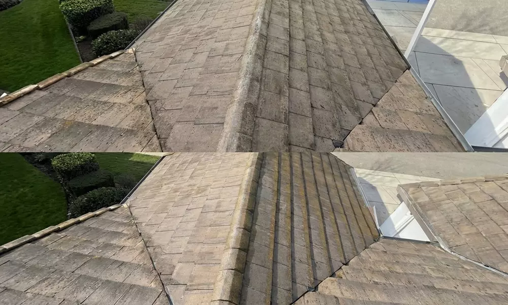 Revamp Your Roof: Effective Cleaning with a 1-Year Algae-Free Warranty & Eco-Friendly Practices (Up to 40% Off)