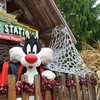 Image 11: EXCLUSIVE: Six Flags Great Adventure - Up to 41% Off