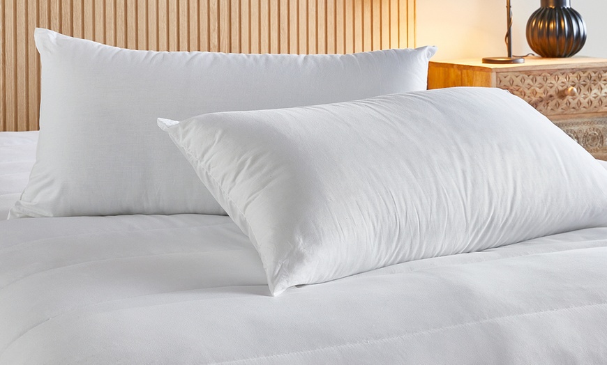 Image 1: 2er-Set Pikolin Home hypoallergenes Kopfkissen