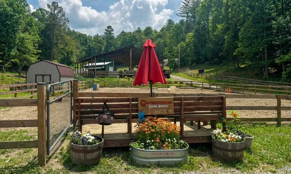 Private 1-on-1 Horse Riding or Horsemanship Lessons on Monday or Thursday Mornings(Up To 50% Off)