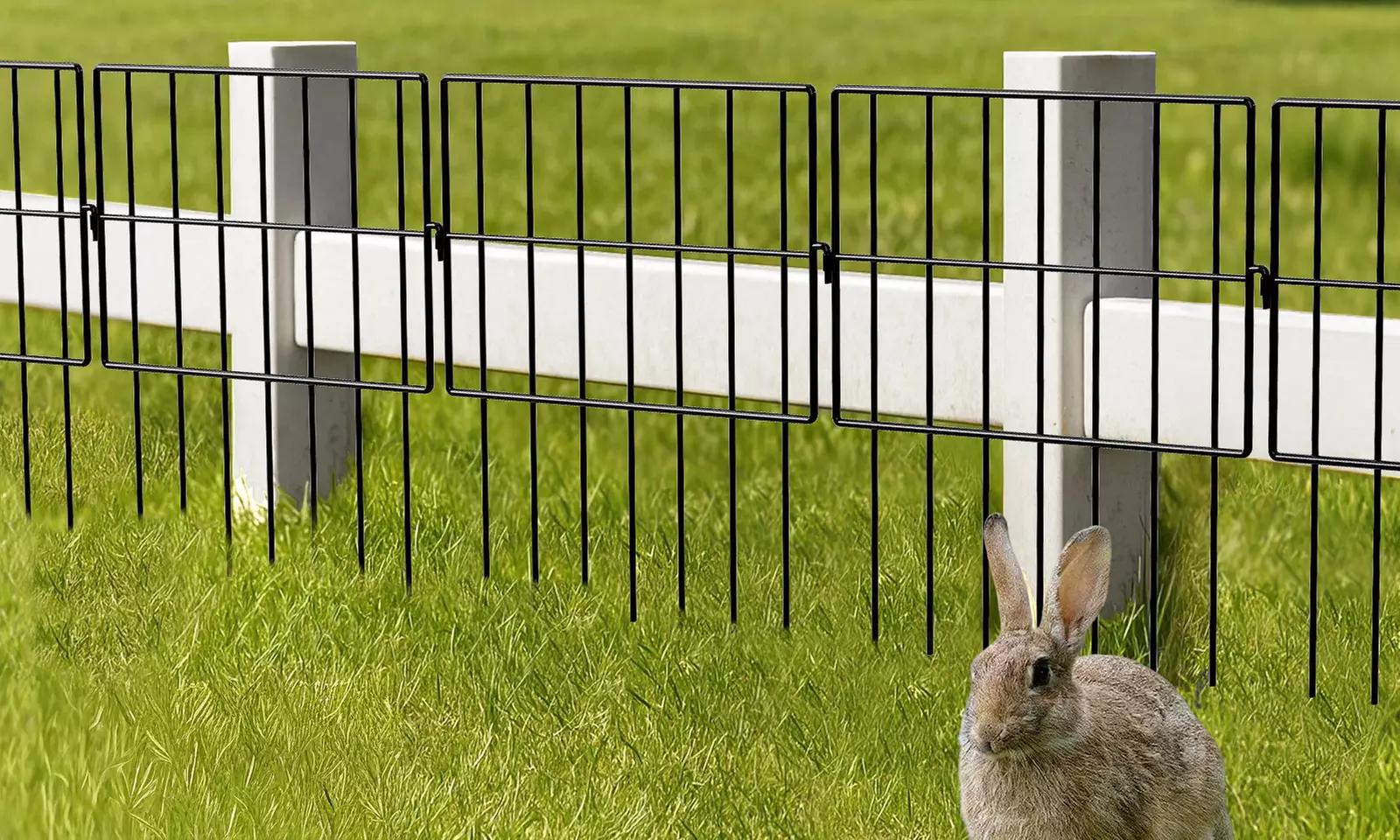 Levede No-Dig Animal Barrier Fence Collection