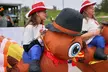 1-Mile Walk/Run, 4-Mile, or 6-Mile Registration for the Pearland Turkey Trot on November 27 (Up to 29% Off) - Second Medium