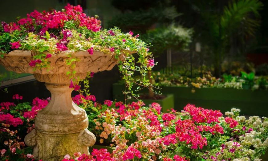 Image 3: Scottish Garden Festival All-Day Tickets on May 23- 25, 2025