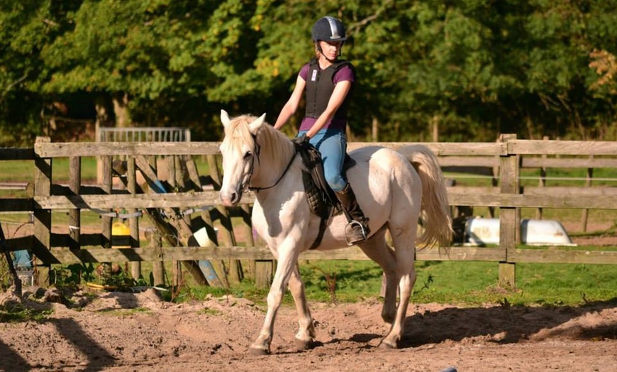 Image 4: Individual or Group Horse Riding