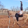 Image 1: Enjoy Horse Vaulting Lessons or Gymnastics On Horseback