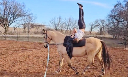 Horse Vaulting Lessons - Victorious Vaulters Maysville, Oklahoma