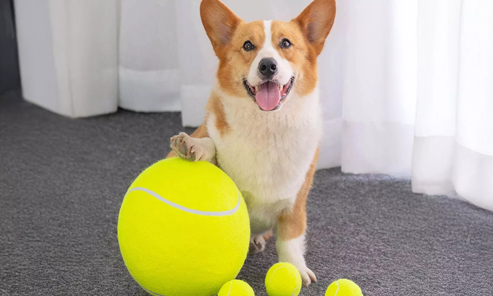 Zummy Pets Giant Jumbo Tennis Ball (Pump Included)