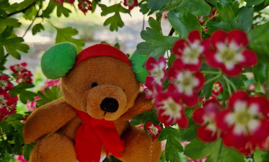 Image 8: Unforgettable Paddington Activity Play Time-Meet Paddington in person!