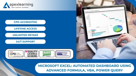 Microsoft Excel: Automated Dashboard Using Advanced Formula, VBA, Power Query - Apex Learning - Main Account