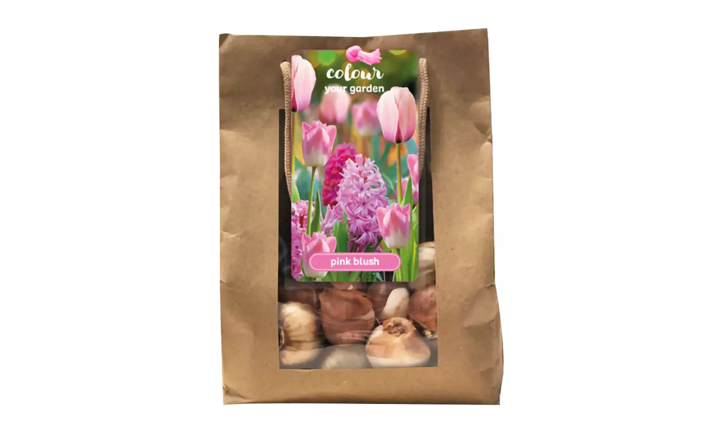 Set van 25 kleurrijke bloembollen mix in kleur naar keuze - Image 7