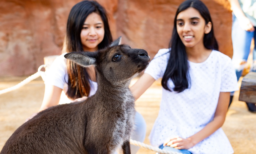 Image 4: Explore Wild Encounters with Adult and Child General Admission Tickets