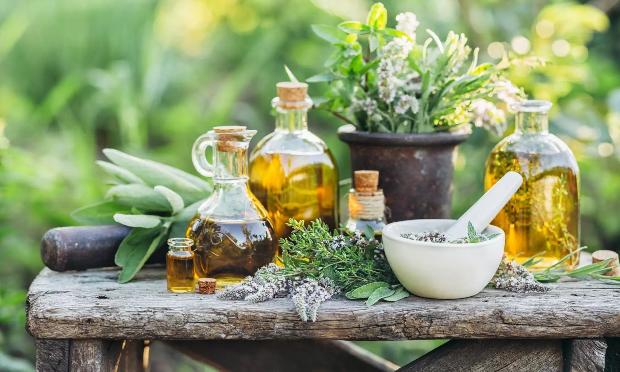 Ayurveda Practitioner Certification – Complete Online Training Course