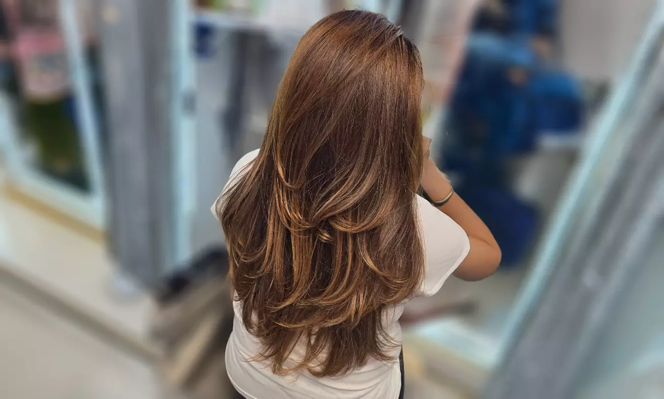 Root Touch Up or Deep Conditioner + Haircut + Blow Dry + Hairstyle