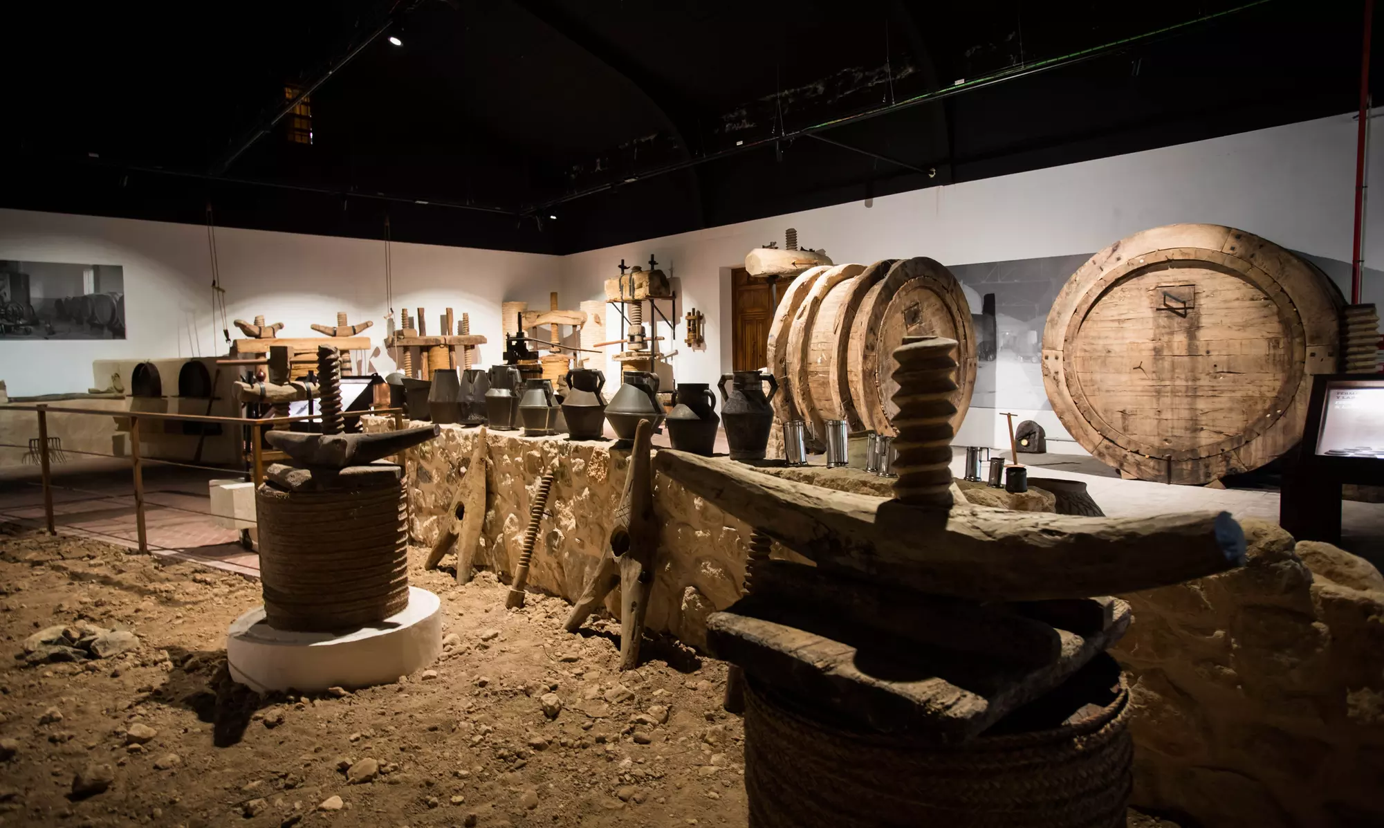 Ruta en bicicleta entre viñedos por la zona de Jumilla para 2 o 4