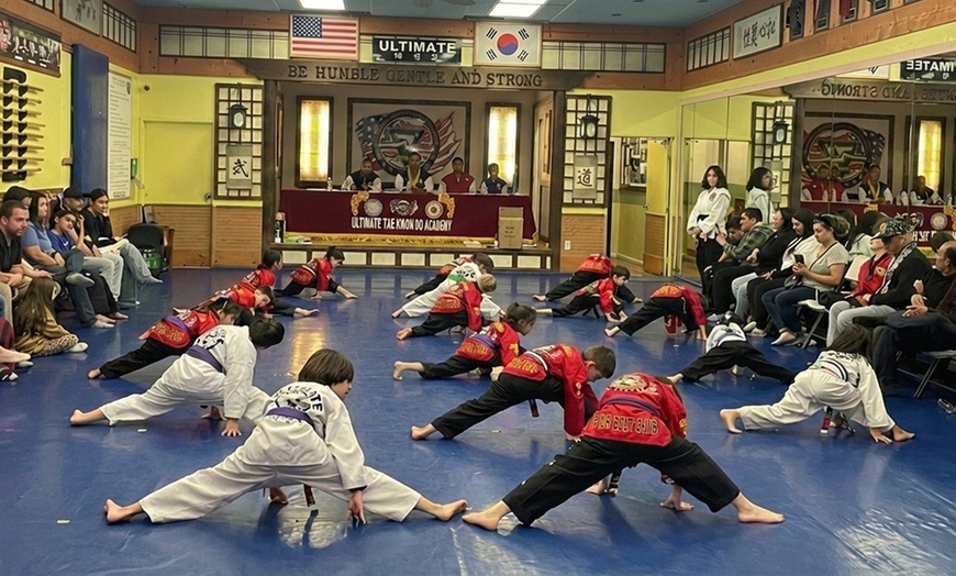 Image 3: Martial Arts Classes for All Ages with Free T-shirt & Trophy