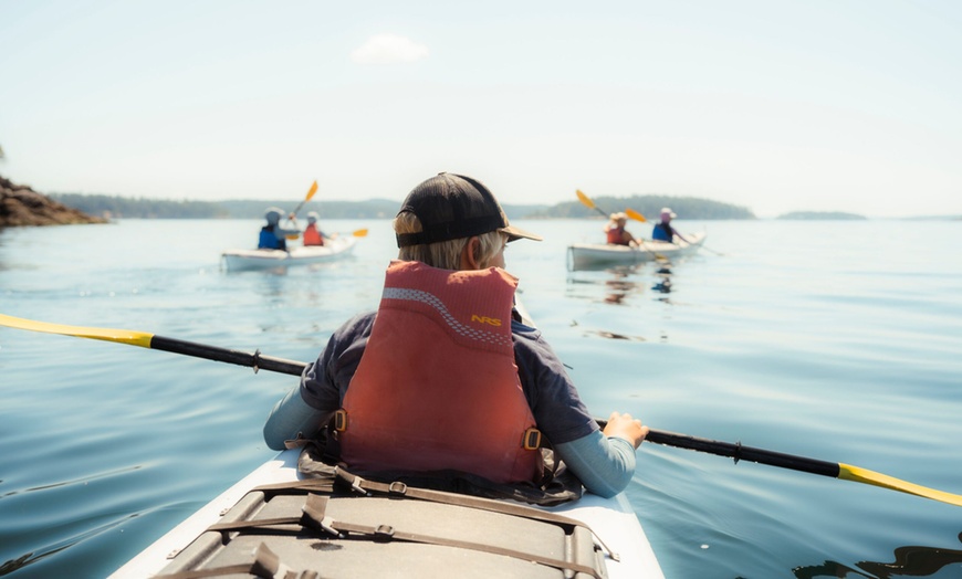 Image 4: Explore San Juan Island on a Half Day or Full Day Kayak Tour